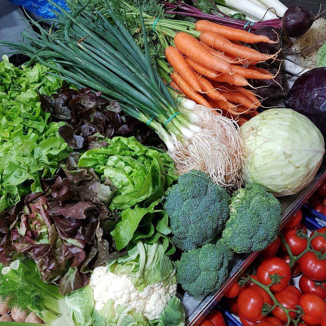 Frutas Ramón
