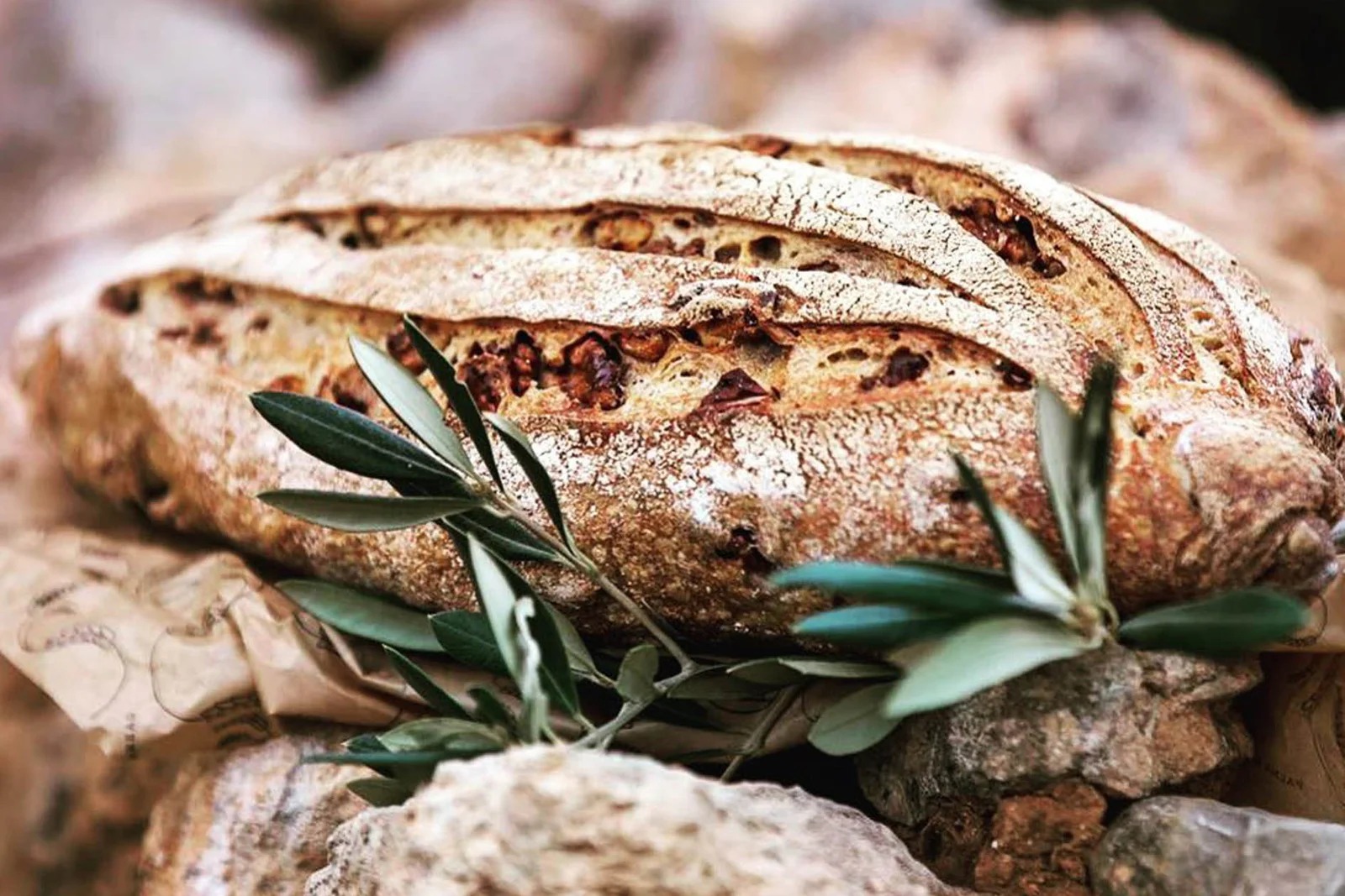 PalmaBread interior or dish 6